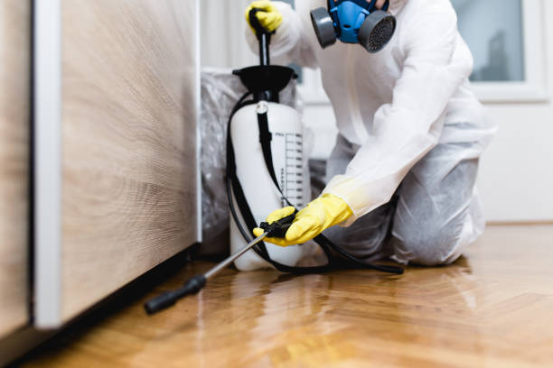 Best Rat Extermination Near Me  in Hallowell, ME