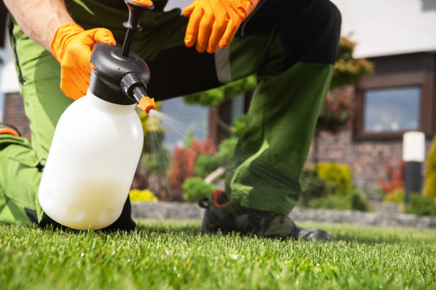 Best Flea Control Services  in Hallowell, ME