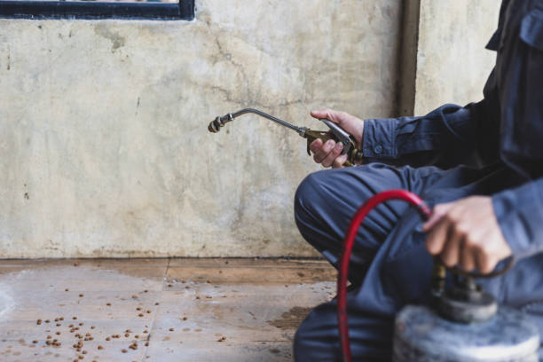 Best Exterminator Services  in Hallowell, ME